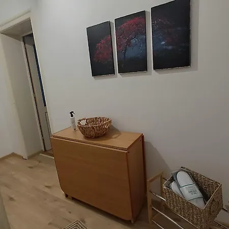 Apartment Casa Anda Brasov