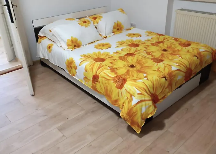 Apartment Casa Anda *